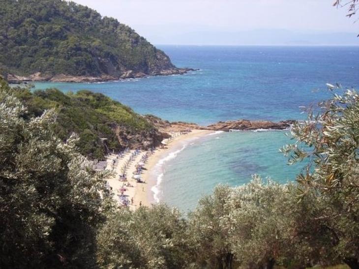 Μικρή Μπανάνα, Σκιάθος Κόκκινη Άμμος, Μάταλα, Κρήτη Παραλία του κάμπινγκ, Αντίπαρος Γύψοι Αφιάρτη, Κάρπαθος. Κέδρος και Λιβάδι, Δονούσα Βελανιό, Σκόπελος Χιλιαδού, Εύβοια Μυρτιώτισσα, Κέρκυρα mikrh-banana