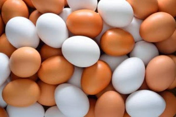Μπορείτε με μια κίνηση να καταλάβετε πόσο φρέσκα είναι τα αυγά σας. 
