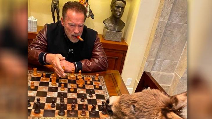 Κορονοϊός: Ο Schwarzenegger παίζει σκάκι με τον γάιδαρό του 