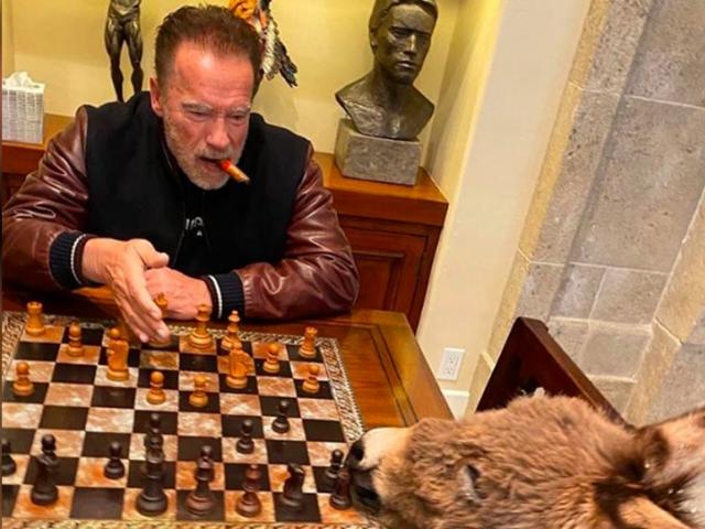 Κορονοϊός: Ο Schwarzenegger παίζει σκάκι με τον γάιδαρό του 
